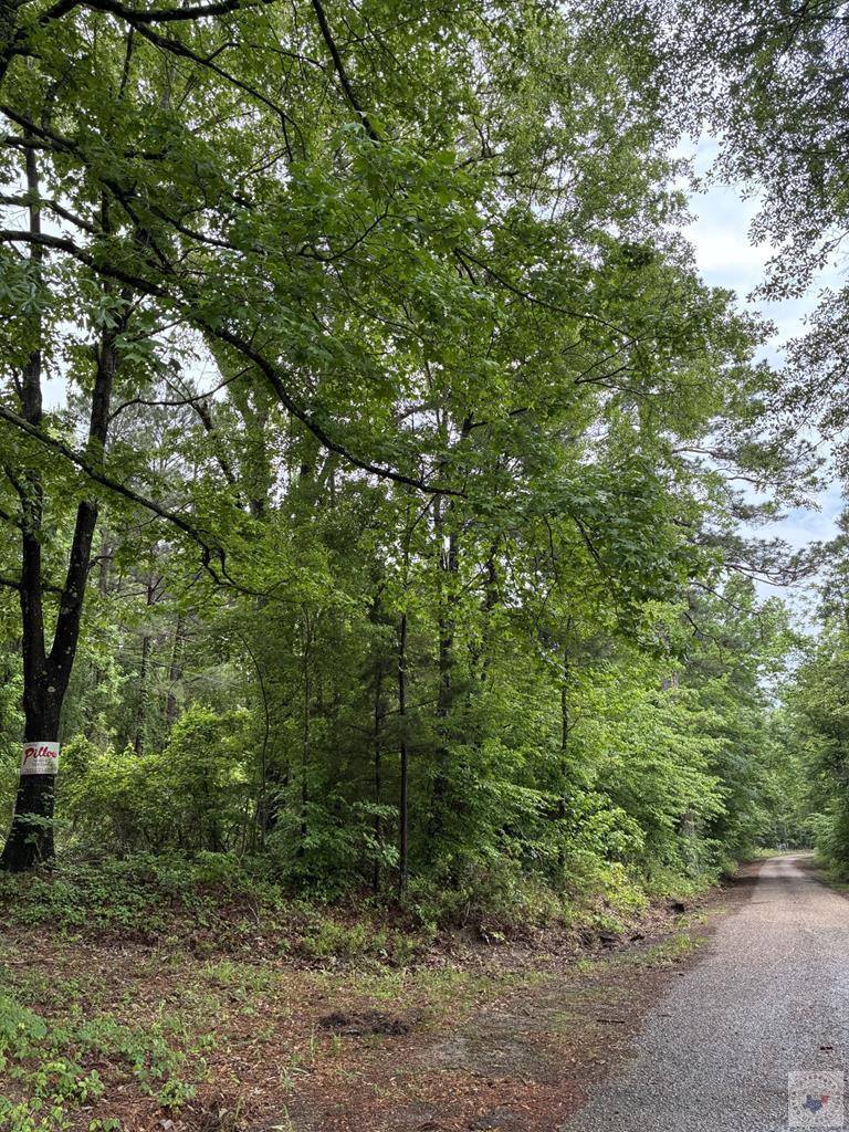 2096 MC 157, Doddridge, AR 71834