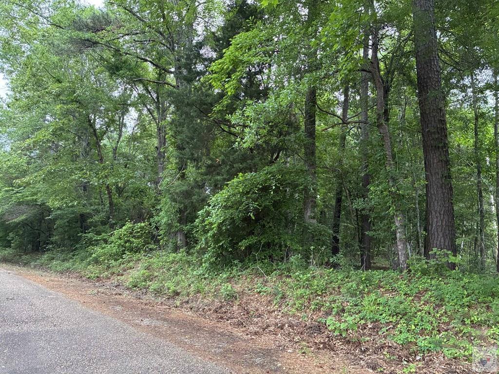 2096 MC 157, Doddridge, AR 71834