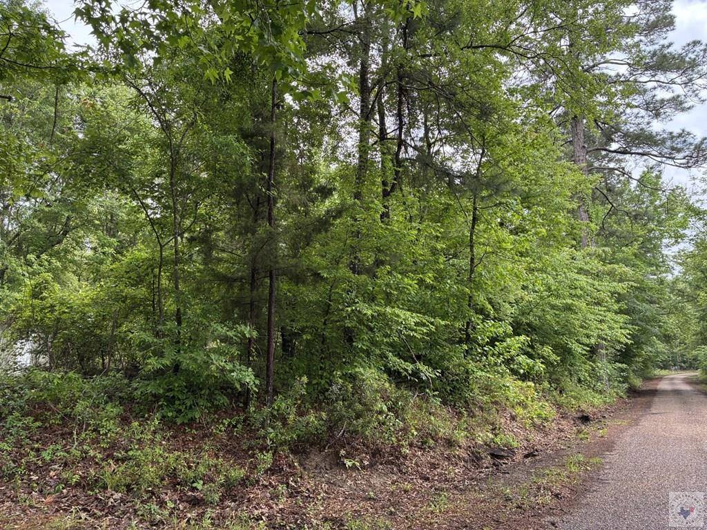 2096 MC 157, Doddridge, AR 71834