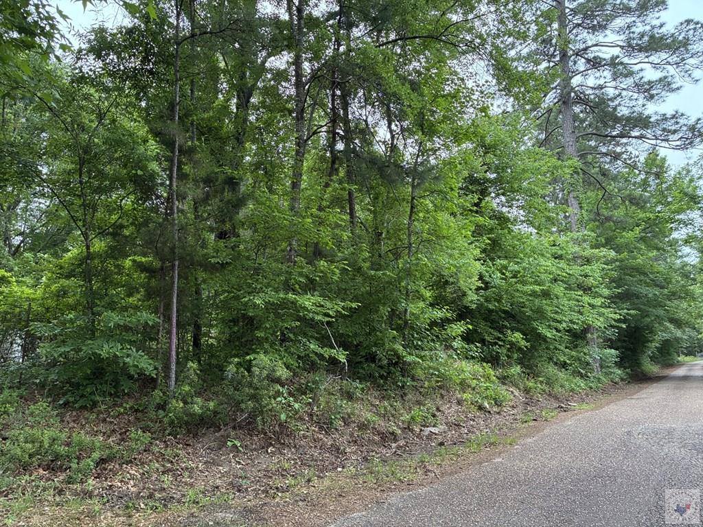 2096 MC 157, Doddridge, AR 71834