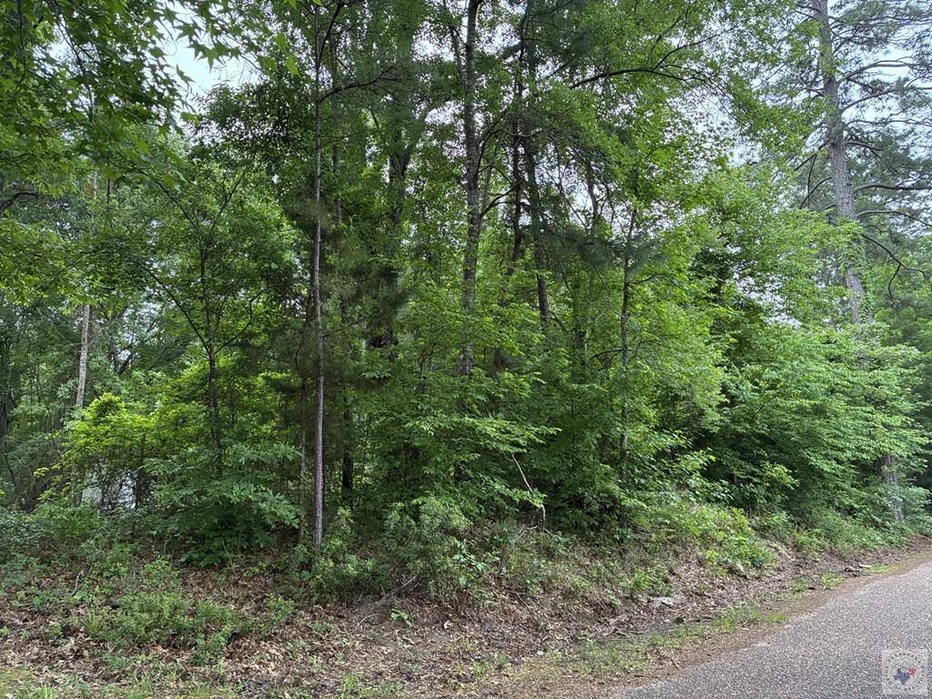 2096 MC 157, Doddridge, AR 71834