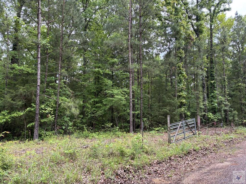 2096 MC 157, Doddridge, AR 71834