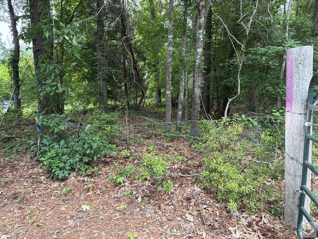2096 MC 157, Doddridge, AR 71834