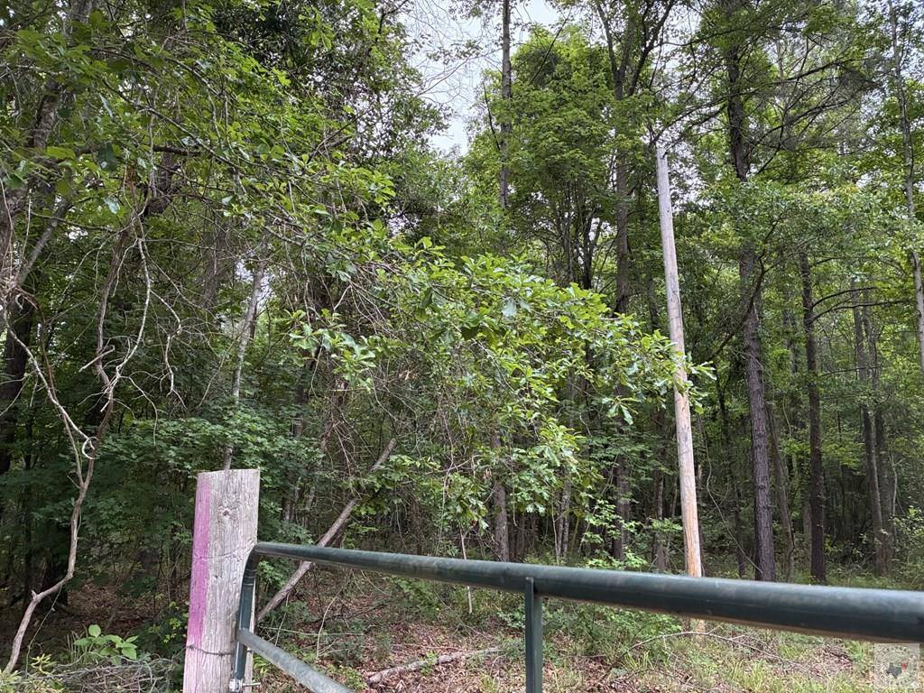 2096 MC 157, Doddridge, AR 71834