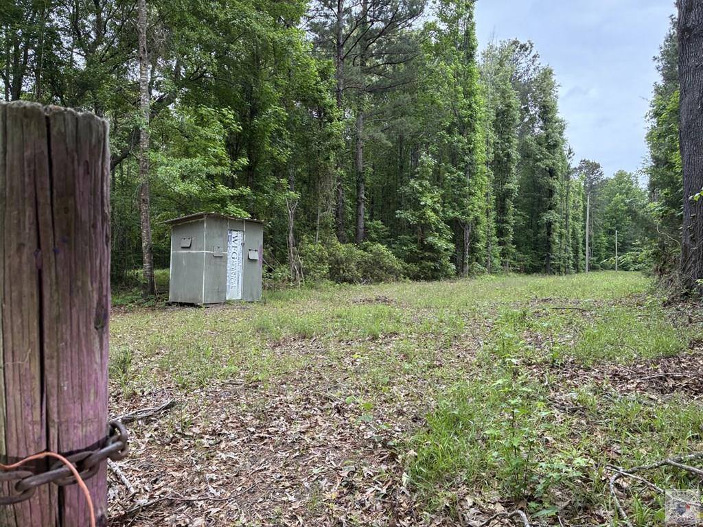 2096 MC 157, Doddridge, AR 71834