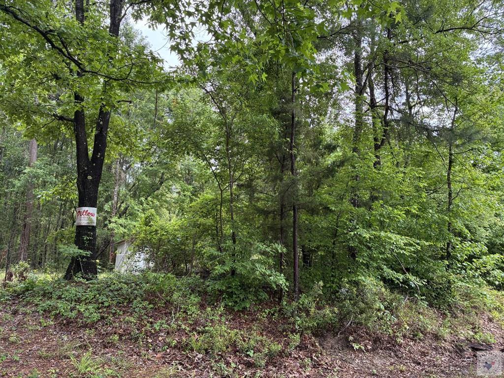 2096 MC 157, Doddridge, AR 71834