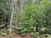 2096 MC 157, Doddridge, AR 71834