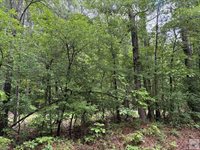 2096 MC 157, Doddridge, AR 71834