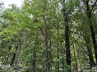 2096 MC 157, Doddridge, AR 71834