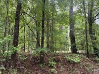 2096 MC 157, Doddridge, AR 71834