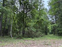 2096 MC 157, Doddridge, AR 71834