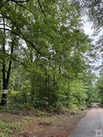 2096 MC 157, Doddridge, AR 71834