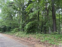 2096 MC 157, Doddridge, AR 71834