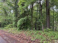 2096 MC 157, Doddridge, AR 71834