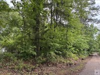 2096 MC 157, Doddridge, AR 71834