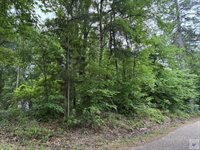 2096 MC 157, Doddridge, AR 71834