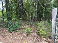 2096 MC 157, Doddridge, AR 71834