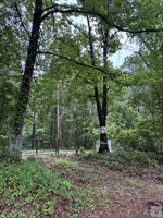 2096 MC 157, Doddridge, AR 71834