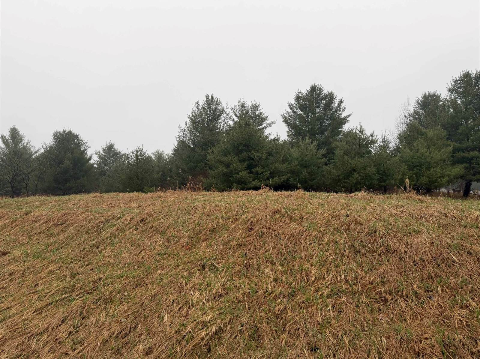 Track Iron Trail, Gladwin, MI 48624