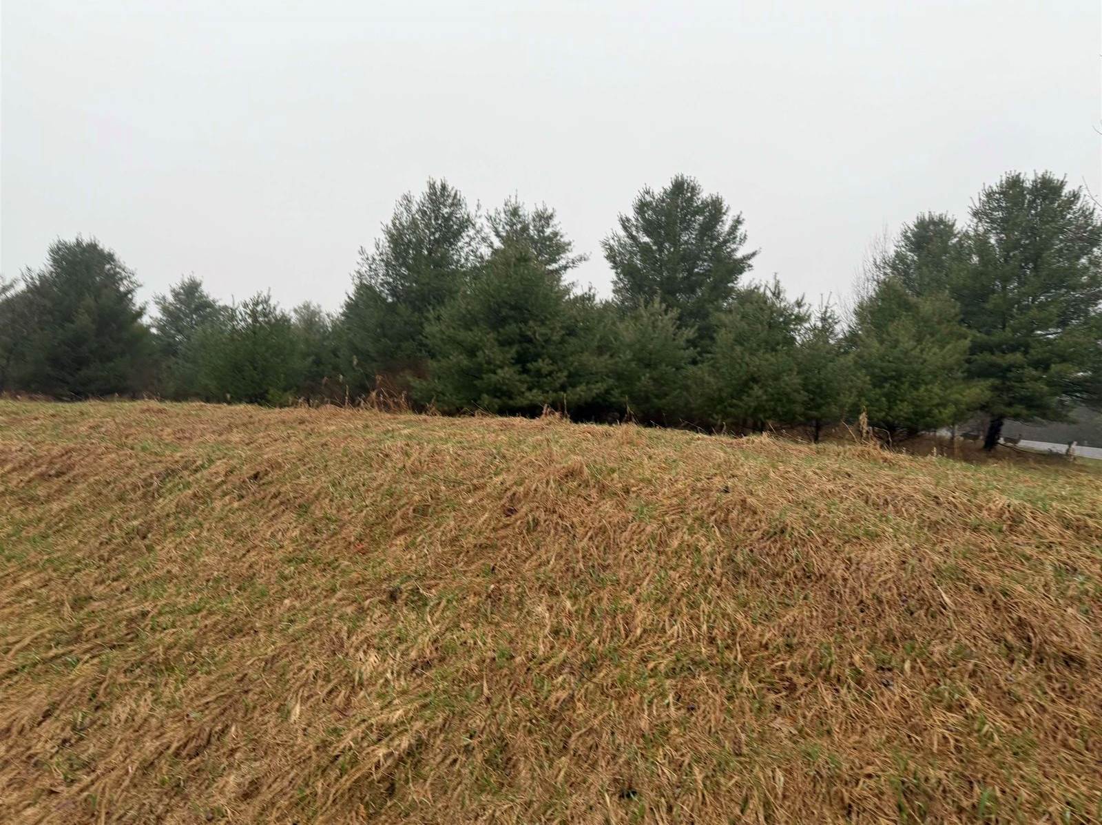 Track Iron Trail, Gladwin, MI 48624