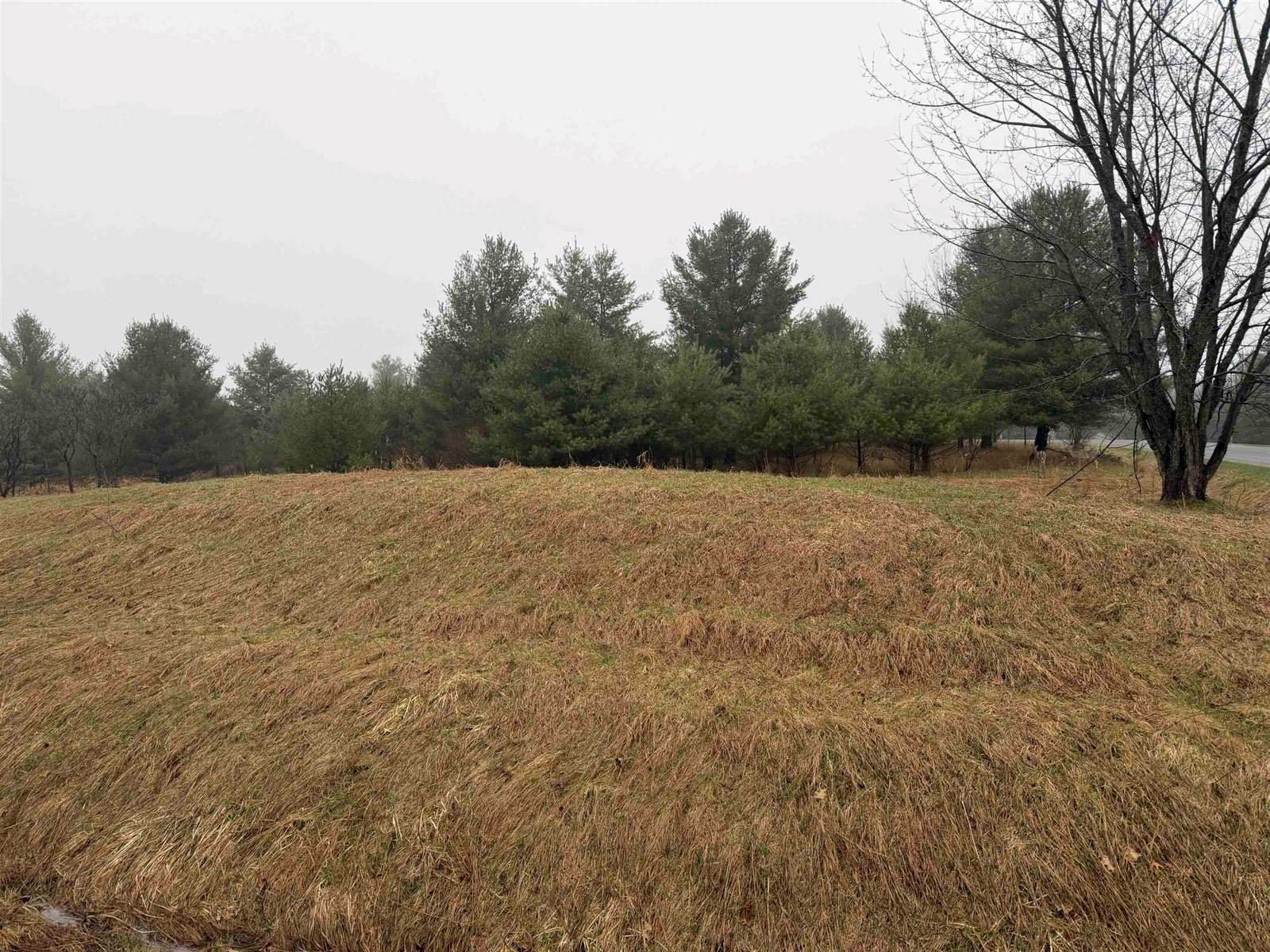 Track Iron Trail, Gladwin, MI 48624