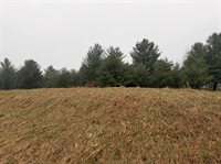 Track Iron Trail, Gladwin, MI 48624