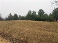 Track Iron Trail, Gladwin, MI 48624