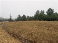 Track Iron Trail, Gladwin, MI 48624