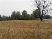 Track Iron Trail, Gladwin, MI 48624