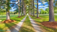 1493 Cricket Hill Road, Hudgins, VA 23076