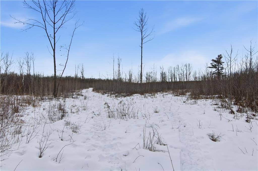 000 County Hwy G, Holcombe, WI 54748