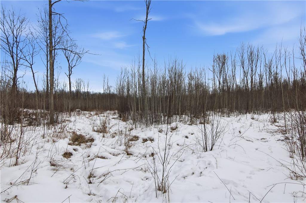 000 County Hwy G, Holcombe, WI 54748