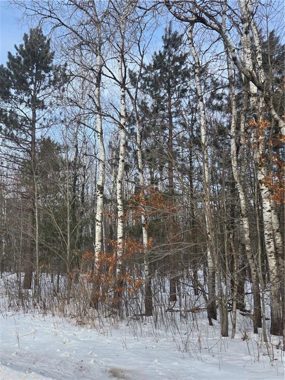 000 County Hwy G, Holcombe, WI 54748