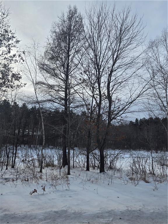 000 County Hwy G, Holcombe, WI 54748