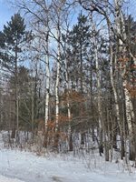 000 County Hwy G, Holcombe, WI 54748