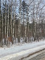 000 County Hwy G, Holcombe, WI 54748