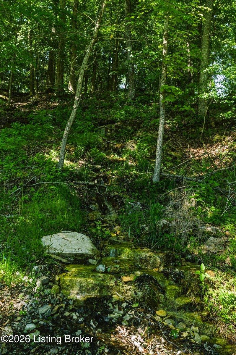 432 Long Needle Rd, Brandenburg, KY 40108
