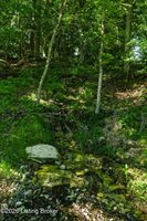 432 Long Needle Rd, Brandenburg, KY 40108