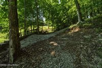 432 Long Needle Rd, Brandenburg, KY 40108