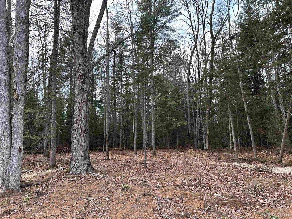 Lot 6 Parker Lane, Marquette, MI 49855