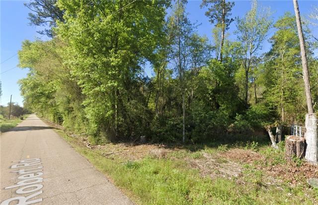 Robert Rd. 37.71 Ac, Hammond, LA 70403