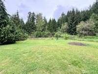 31808 Hinkleman Road South, Roy, WA 98580