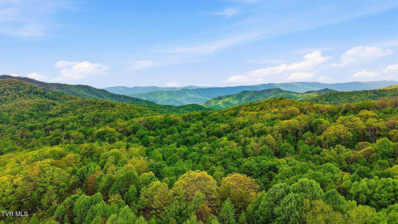 308 Walnut Mountain Farm Loop, Hampton, TN 37658