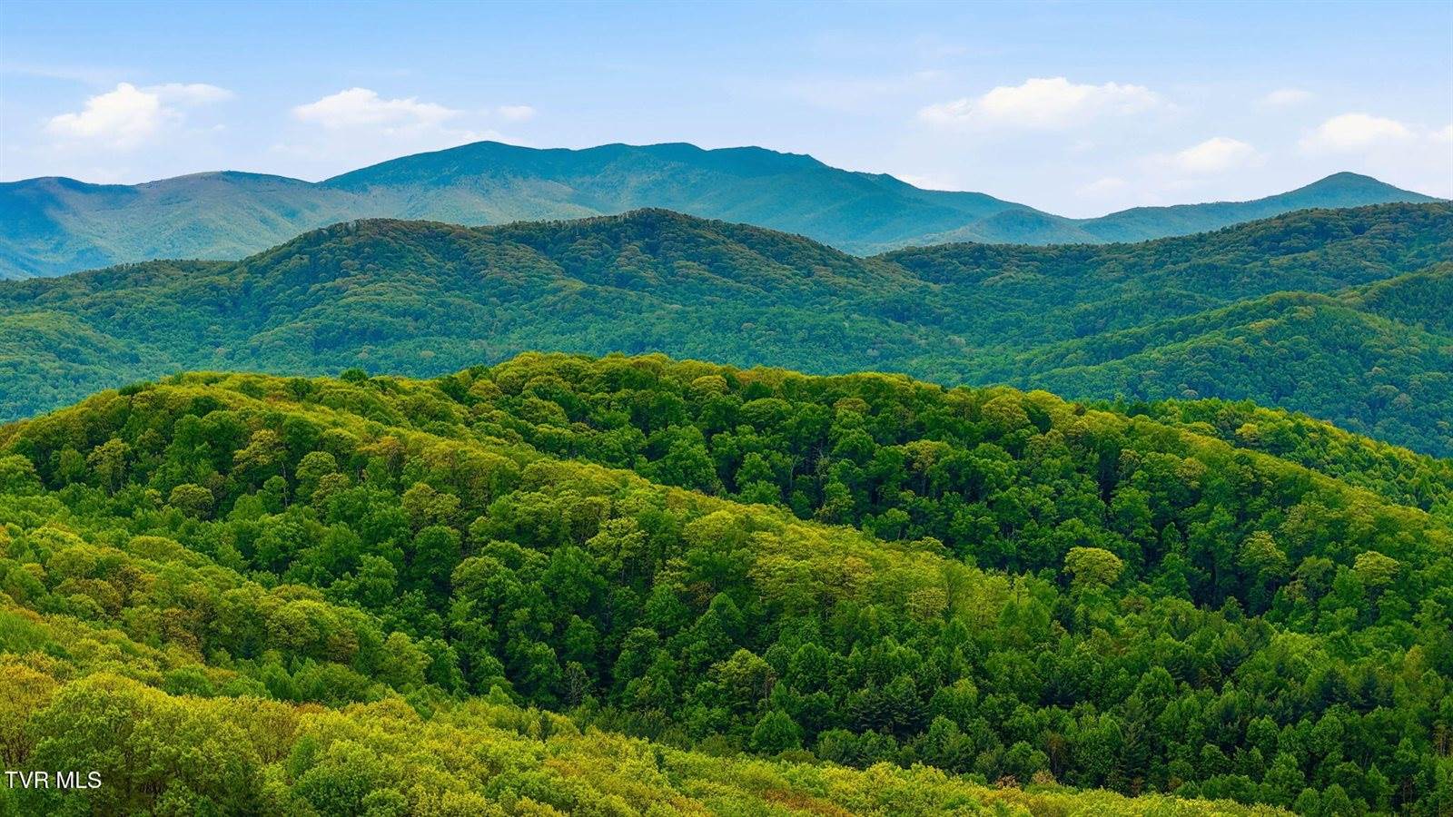 308 Walnut Mountain Farm Loop, Hampton, TN 37658