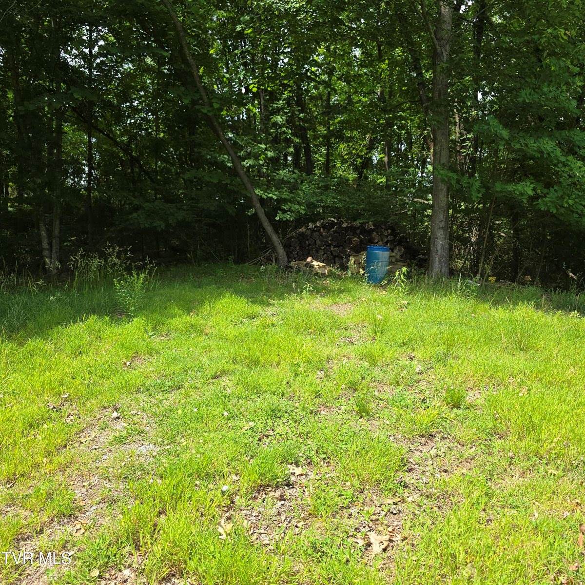 744 Ridge Drive, Piney Flats, TN 37686