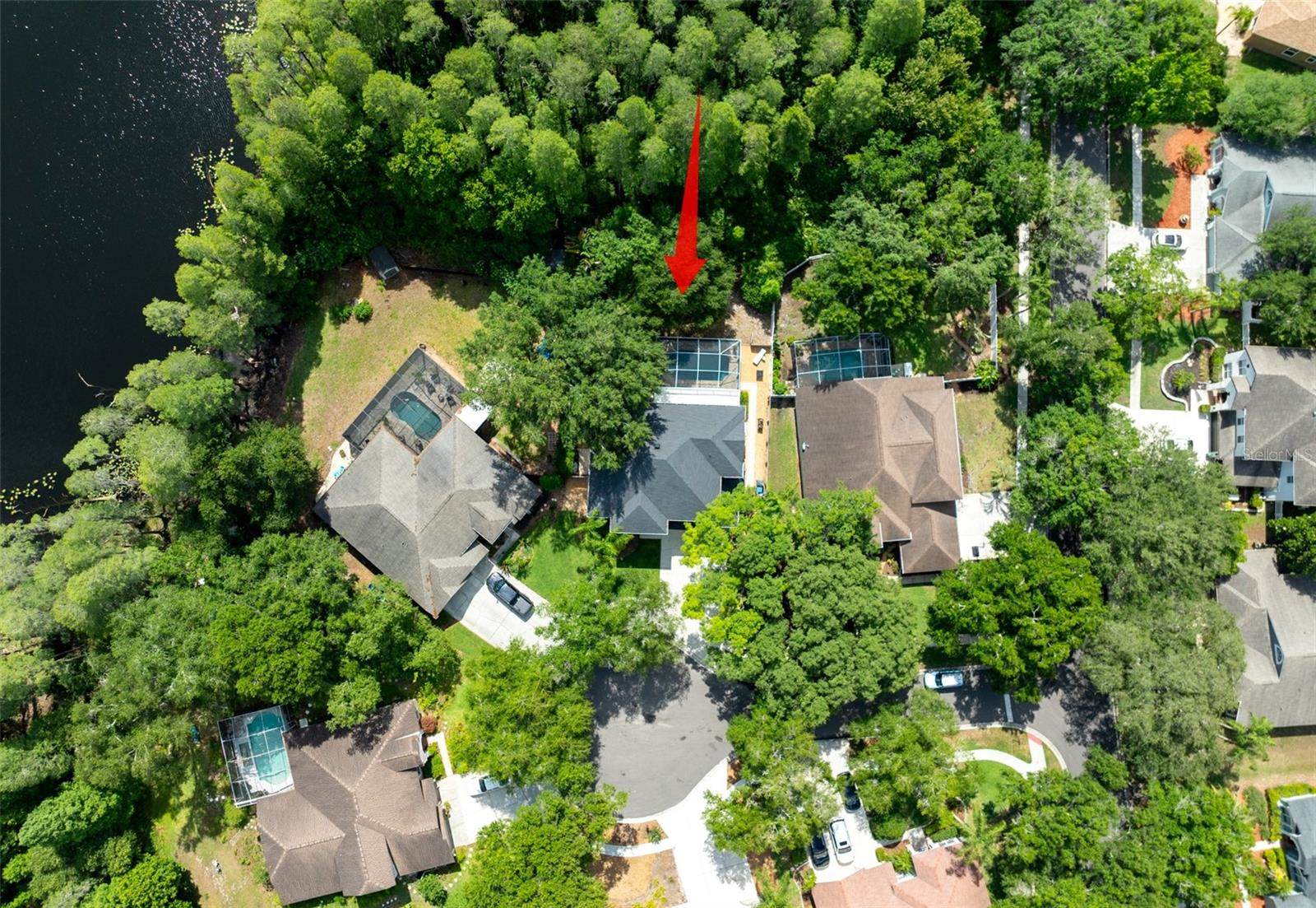 15303 Hidden Arbor Court, Odessa, FL 33556