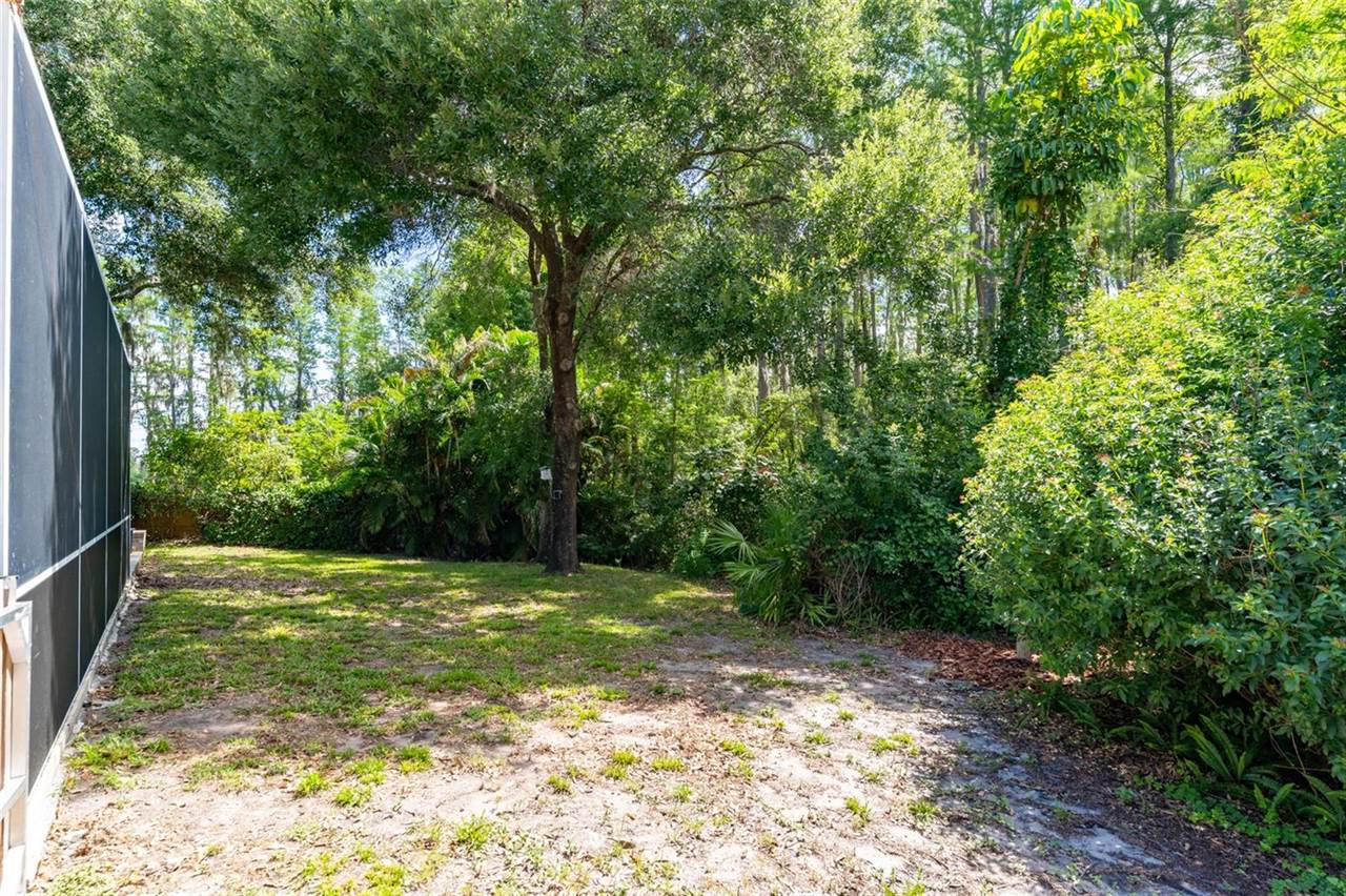 15303 Hidden Arbor Court, Odessa, FL 33556