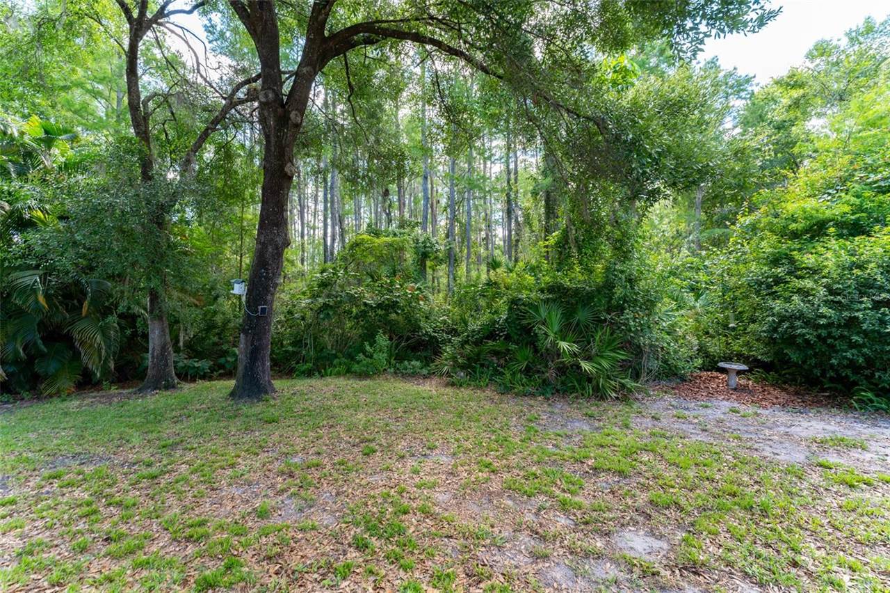 15303 Hidden Arbor Court, Odessa, FL 33556
