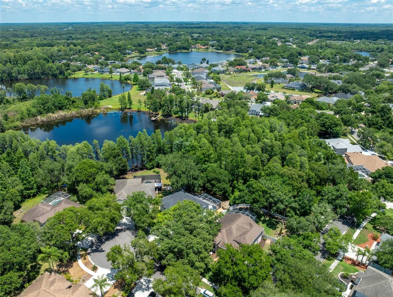 15303 Hidden Arbor Court, Odessa, FL 33556