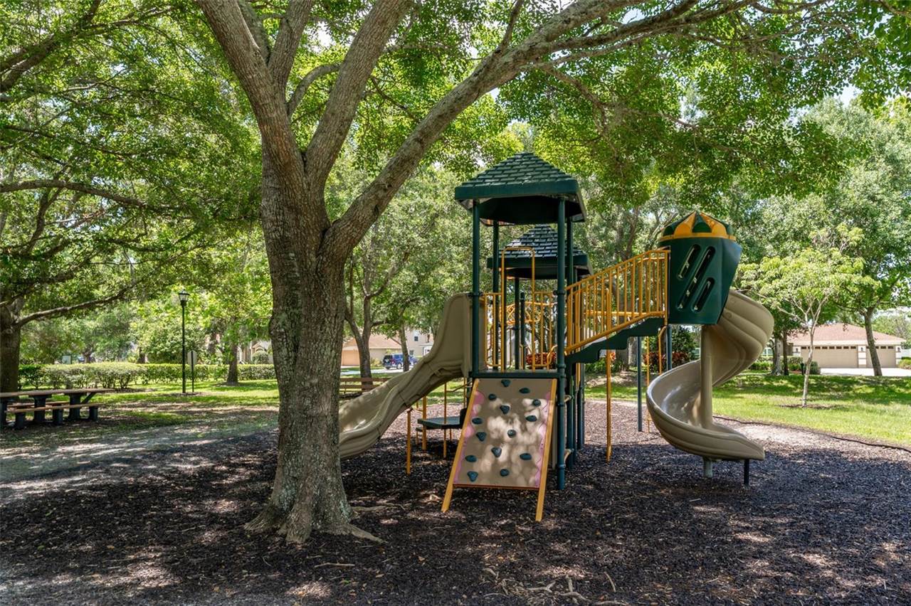 15303 Hidden Arbor Court, Odessa, FL 33556
